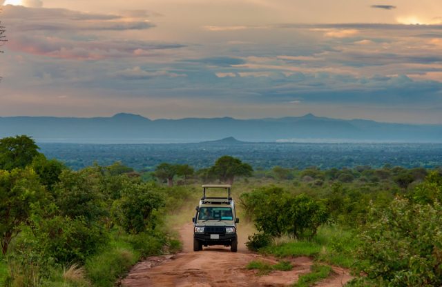 East Africa Parks