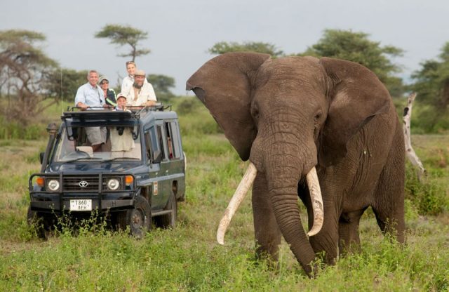 East Africa Safari Adventure